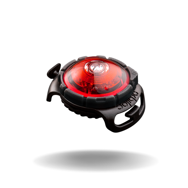 Lygter og lys til hund