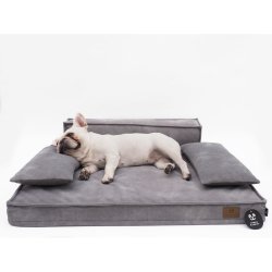 Nordic paw relax lounge seng