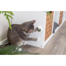 Catnip bold med holder