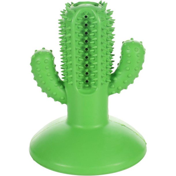 Dental kaktus