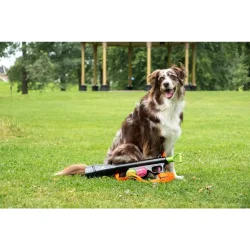 Dog comets comet launcher