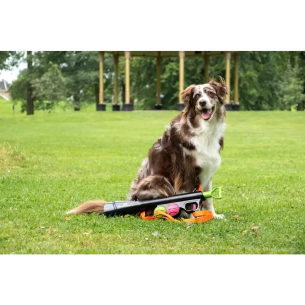 Dog comets comet launcher