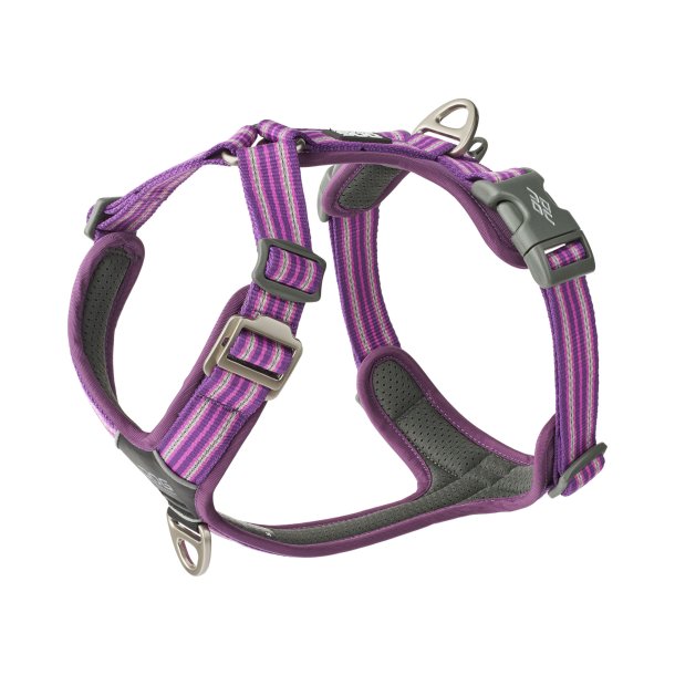 Dog copenhagen comfort walk AIR purple passion