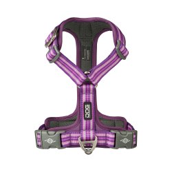 Dog copenhagen comfort walk AIR purple passion