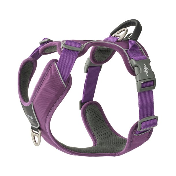 Dog copenhagen comfort walk PRO purple passion