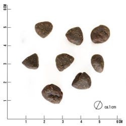 Tales and tails semimoist hundefoder med lam 4kg