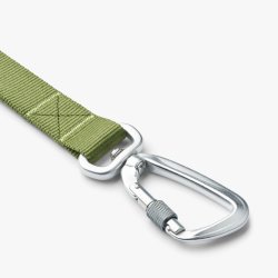 Dog copenhagen urban trail leash hunting green