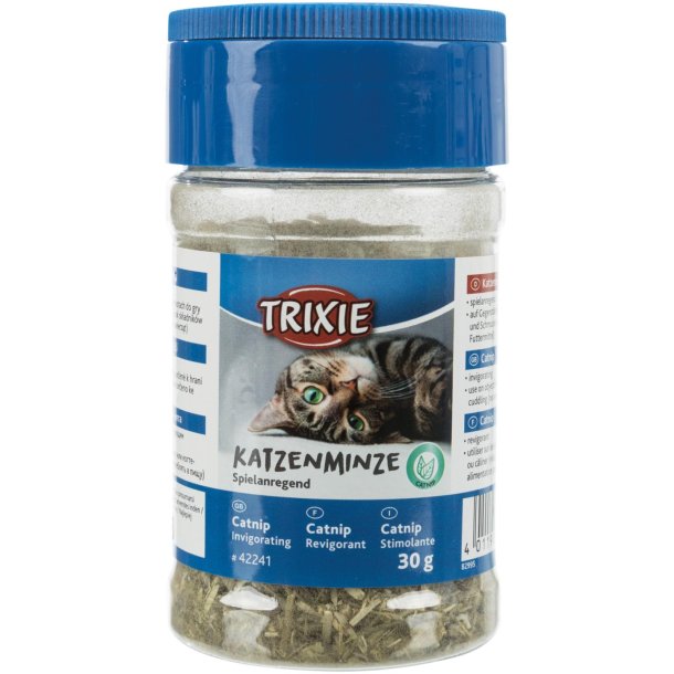 Catnip i smart str dse