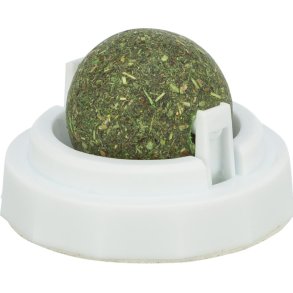 Catnip bold med holder