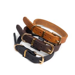 Walk it cognac lderhalsbnd m/ messing