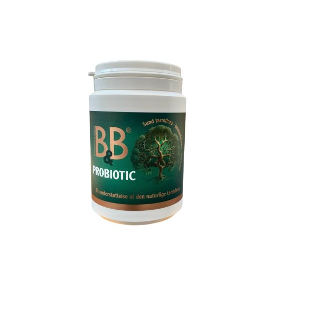 B&B probiotic 100g